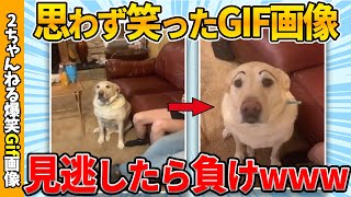 【おもしろgif総集編】思わず吹いた爆笑gif画像集ww 【コメ付き】【ゆっくり解説】【2chスレ】【5ch】 [upl. by Osgood]