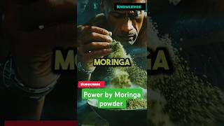 Power by Moringa powder🍂🍂 video moringa [upl. by Onig]