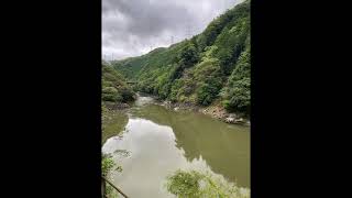 Romantic ride in Arashi Sagano Scenic Train 2024104 [upl. by Gnemgnok]