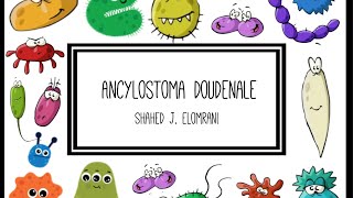 Ancylostoma Duodenale [upl. by Swithbart236]