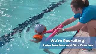 Swim Teachers and Dive Coaches wanted [upl. by Neillij]