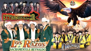 🤠Grupo Exterminador amp Los Razos🤠Los Originales de San Juan🤠BEST Corridos 2024 [upl. by Linn786]