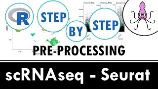 Standard scRNAseq preprocessing workflow with Seurat  Beginner R [upl. by Cosma]