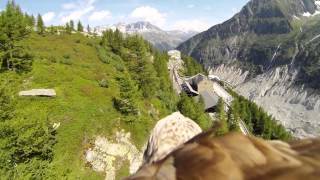 Flying eagle point of view 1 [upl. by Silirama]