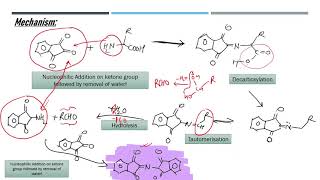 Ninhydrin and Biuret Test [upl. by Valenba]