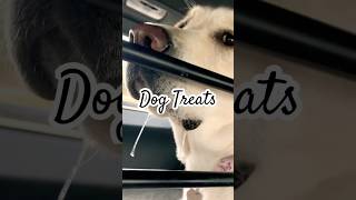 Dog Treats [upl. by Anitniuq]