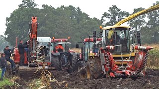 Harvesting Mais In The Mud  New Holland FX  Modderen  Vastzitten  Sundermeijer [upl. by Wilhelmine]