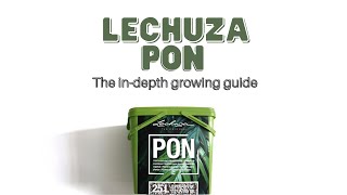 The InDepth Lechuza Pon Guide  Easy Plant Care  Inorganic Growing [upl. by Fakieh]