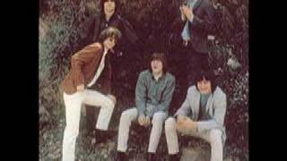 The Byrds  Live In Stockholm Mr Tambourine Man [upl. by Osrock373]