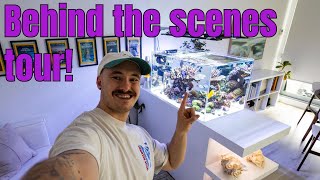 Behind the scenes tour of my Australian Reef Tank Aquarium [upl. by Toth344]