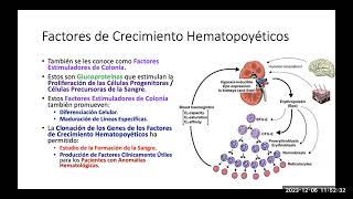 2023 72 Hematopoyesis Histologia [upl. by Einhorn]