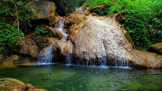 Soothing Headache Migraine Pain and Anxiety Relief  Gentle Waterfall Open Heart Music [upl. by Longan35]