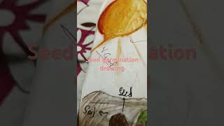 Seed germination drawing phonk music memes art drawing [upl. by Nirot634]