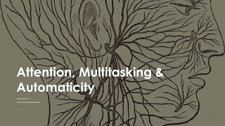 Attention Multitasking amp Automaticity [upl. by Nile364]