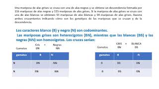 ejercicios de Mendel [upl. by Suiradal780]