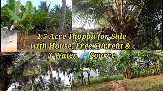 15 Acre Road Base Thoppu for Sale near Karamadai Coconut Farm Land for Sale Thenna Thoppu for Sale [upl. by Greerson282]