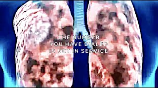 UICIDEBOY  The Number You Have Dialed Is Not in Service Lyric Video [upl. by Jarita]