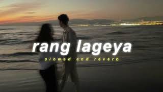 Ke Rang Lageya Ishq Da  Rang Lageya  Slowed amp Reverb   Mohit Chauhan  Lofi Version [upl. by Eseerahs]