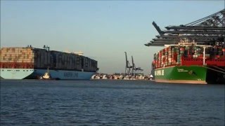 Marstal Maersk arriving at Felixstowe [upl. by Atig308]