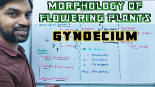 Gynoecium  Morphology of Flowering Plants [upl. by Anairam386]