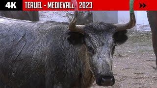 4K ▪ TERUEL ▪ MEDIEVALES 2023 ▶ Vacas enfundadas [upl. by Feliks]