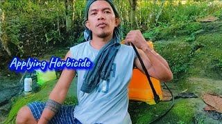 Spraying Herbicide to control the weeds farmer [upl. by Home]