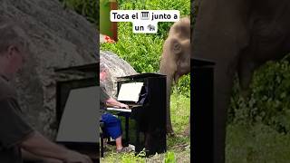 Trompa mira que trompa piano humor [upl. by Timmie]