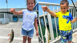 Saltwater Bridge Fishing in Key West [upl. by Marylou271]