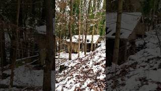 Verfallene Hütte mitten im Wald lostplaces abandoned abandonedplaceshunters [upl. by Adoh]