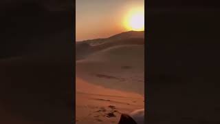 Dubai Desert 🏜️ UAE 🇦🇪 shorts [upl. by Weiser]