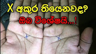 X අකුර කියන පුදුම කතාව  hastha reka [upl. by Grenier856]