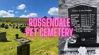 Rossendale Pet Cemetery Crawshawbooth [upl. by Clapper45]