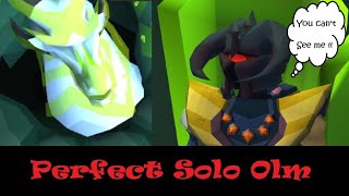 Olm CANNOT Attack Perfect Solo Olm [upl. by Lauree]