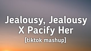 Jealousy Jealousy X Pacify Her tiktok mashup Lyrics [upl. by Odarnoc]