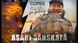 COPES GARŠA S6E11  ASARI SĀNSKATĀ LV sub [upl. by Ecirrehs]