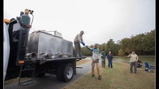 Bringing Trout to the Cities  Virginias Urban Trout Stocking Program [upl. by Franek]