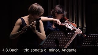 JSBach  trio sonata dminor BWV 527 Andante  Gnessin Baroque [upl. by Swayne]