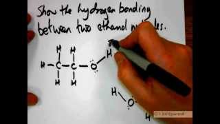 Hydrogen bonding in ethanol walkthrough [upl. by Aihsetal]