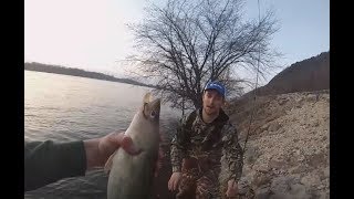 Shore Fishing Mississippi River Walleyes [upl. by Tatman]