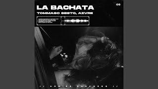 La Bachata  Techno Mix [upl. by Syned]