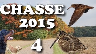 CHASSE PETIT GIBIER 2015 4 CALIBRE 410 amp 28 PHEASANT WOODCOCK HUNTINGCACCIA SELVAGGINACAZA MENOR [upl. by Anaerol]