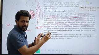 Structure of Microsporangium Line by line MCQs analysis in tamil  NEET 2025 12th std biology [upl. by Roxi564]