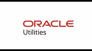 Oracle Utilities Digital Self Service Portal and Customer to Meter Configuration Tools [upl. by Markos]