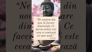 citat Buddha citate citatemotivationale trendingshorts citatecelebre shorts buddha [upl. by Carmella]