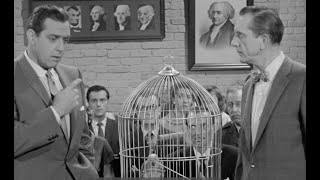 PerryMason quotThe Case of the Perjured Parrotquot 🦜 [upl. by Middleton]