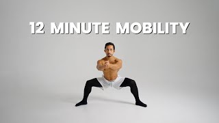 Full Body MOBILITY In Less Than 12 Minutes [upl. by Elburt]