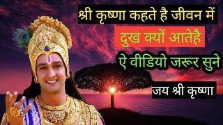 श्री कृष्णा कहते है सुख और दोख क्यों। bast motovation krisna vani bhagbatgeeta devitouchvlogs [upl. by Kabab]