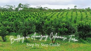 Building an Amazing Calamansi Farm Step by Step Guide [upl. by Yasui]