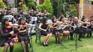 Carnaval ayacuchano 2019 con los mejores violinistas en Canto Andino [upl. by Aicital297]