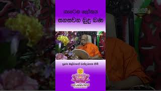 පූජ්‍ය මල්වානේ චන්දරතන හිමි  Ven Malwane Chandarathana Thero [upl. by Rhoda909]